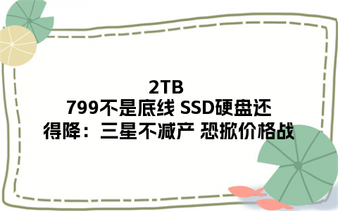 2TB 799不是底线 SSD硬盘还得降：三星不减产 恐掀价格战