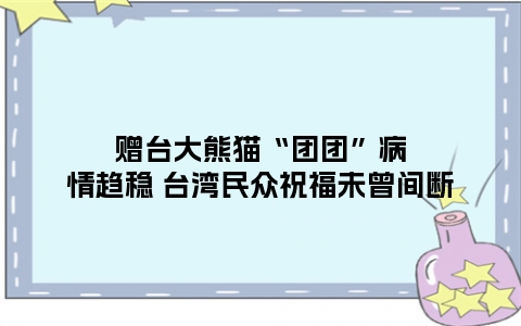 赠台大熊猫“团团”病情趋稳 台湾民众祝福未曾间断