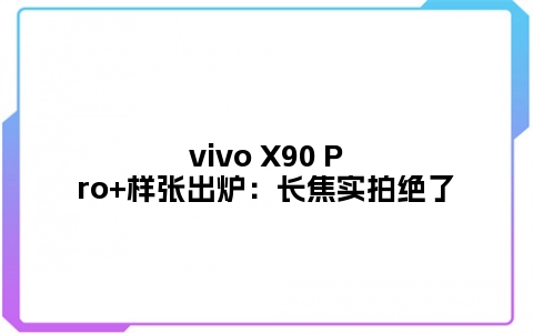 vivo X90 Pro+样张出炉：长焦实拍绝了