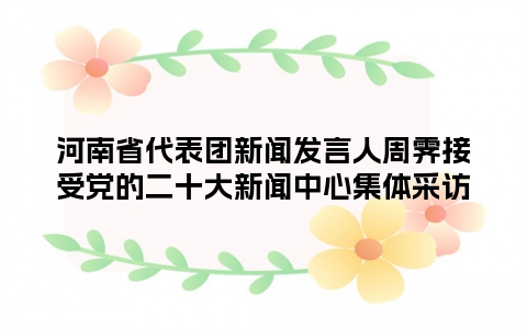 河南省代表团新闻发言人周霁接受党的二十大新闻中心集体采访