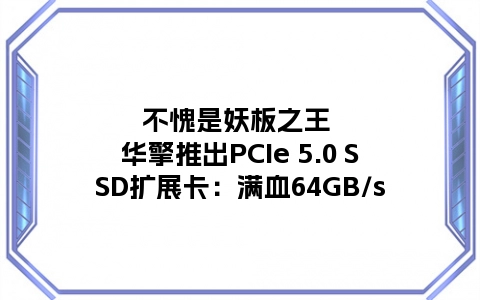 不愧是妖板之王 华擎推出PCIe 5.0 SSD扩展卡：满血64GB/s