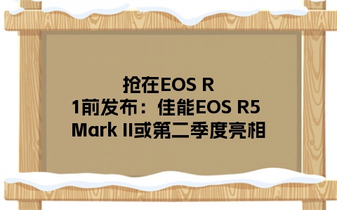 抢在EOS R1前发布：佳能EOS R5 Mark II或第二季度亮相