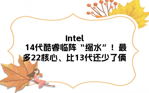 Intel 14代酷睿临阵“缩水”！最多22核心、比13代还少了俩