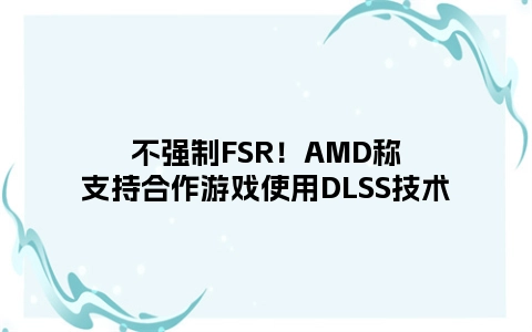 不强制FSR！AMD称支持合作游戏使用DLSS技术