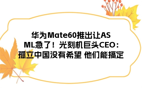 华为Mate60推出让ASML急了！光刻机巨头CEO：孤立中国没有希望 他们能搞定