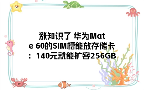 涨知识了 华为Mate 60的SIM槽能放存储卡：140元就能扩容256GB