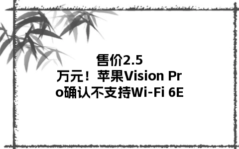 售价2.5万元！苹果Vision Pro确认不支持Wi-Fi 6E