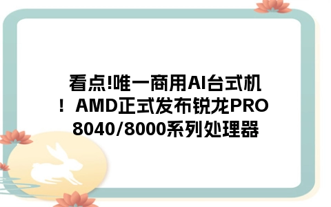看点!唯一商用AI台式机！AMD正式发布锐龙PRO 8040/8000系列处理器