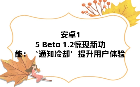 安卓15 Beta 1.2惊现新功能：‘通知冷却’提升用户体验