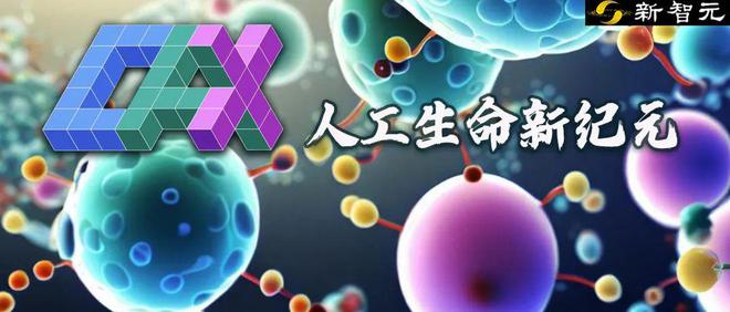 几行代码，一窥上帝造物！帝国理工开源CAX，引爆人工生命新纪元