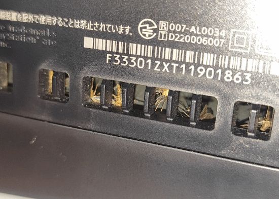 PS5变蚊子收割机！机内尸横遍野 竟是灯光惹的祸