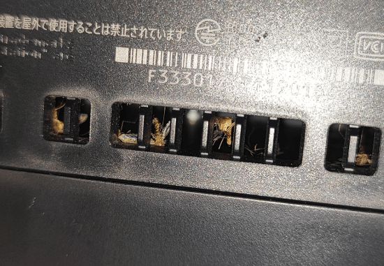 PS5变蚊子收割机！机内尸横遍野 竟是灯光惹的祸