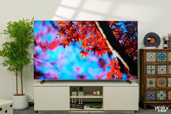 第四代液晶电视如何带来极致体验？TCL极景QD-Mini LED电视Q10L评测
